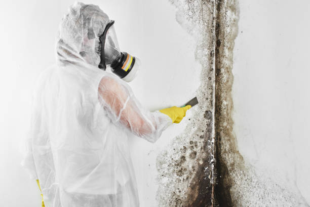 Water Damage Restoration in Villas, FL