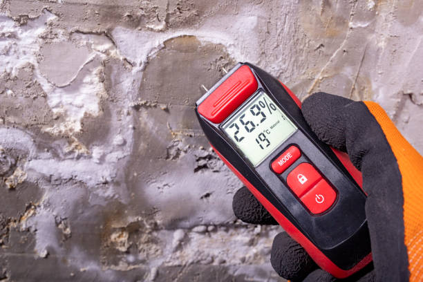 Best Local Mold Removal Service  in Villas, FL