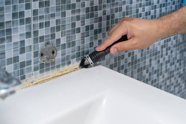 Best Black Mold Removal  in Villas, FL