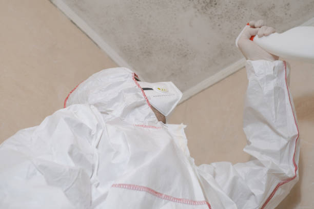 Best Mold Testing  in Villas, FL
