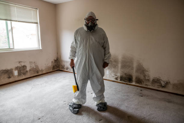 Best Office Mold Removal Services  in Villas, FL